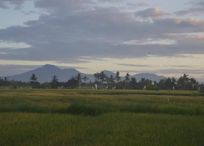 Bali Harmony Retreat 4* Canggu